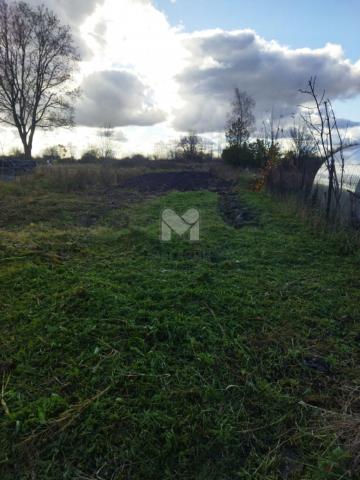 Молосковицы дер