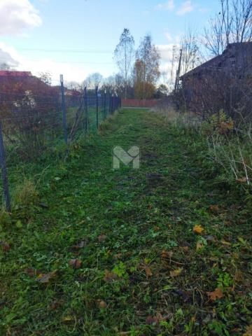 Молосковицы дер