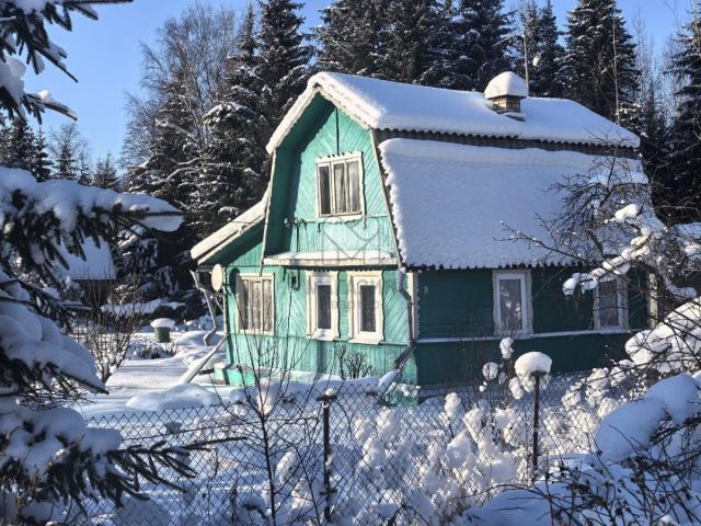 Мшинская массив, Металлург СНТ, 9