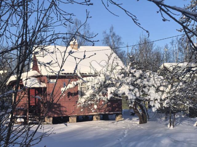 Мшинская массив, Метро-1 СНТ, 234