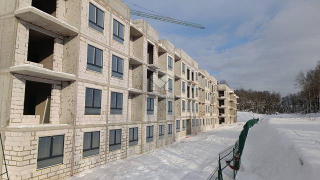 Ленинградская область, дер. Мистолово, Большой пр.