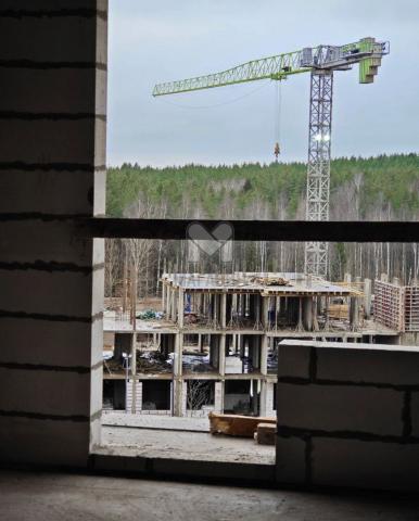 Ленинградская область, дер. Мистолово, Большой пр.