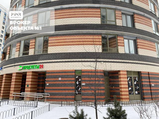 Коломяжский проспект, 9