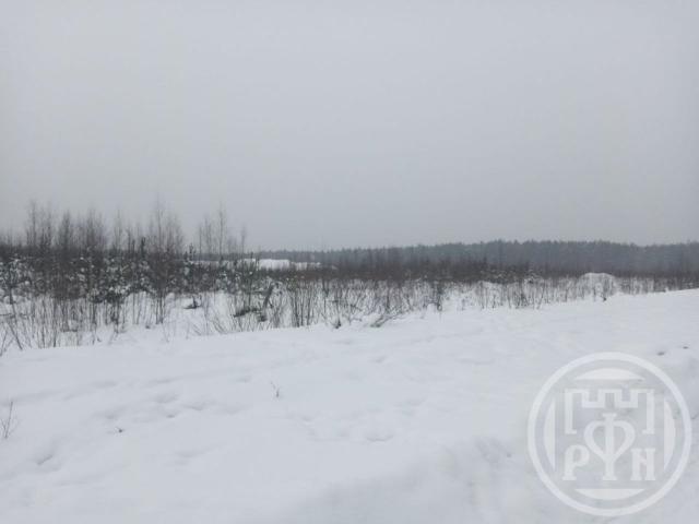 Романовка пос.