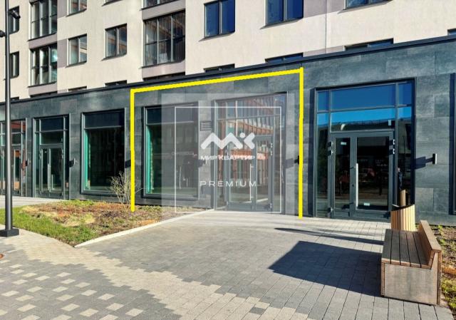 Заневский проспект, 65