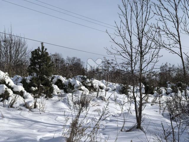 Серебрянский пос, Новая ул