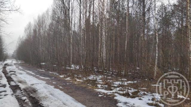 Лепсари дер.