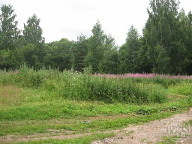 Витово дер.