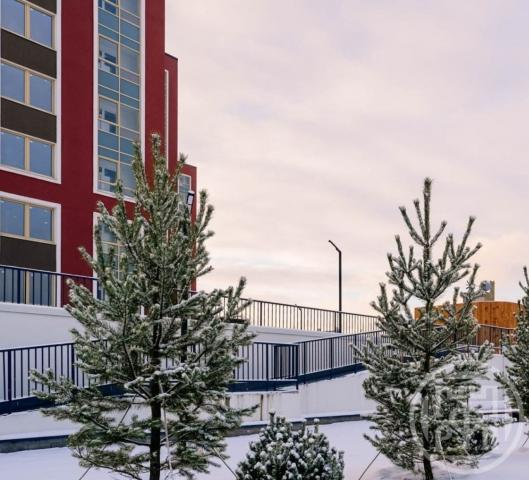 Пискарёвский просп., д 142