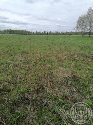 Городец дер., Кукуевская ул.