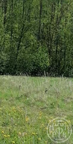 Турово дер.