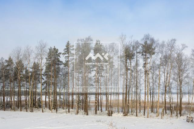 Цвелодубово п.