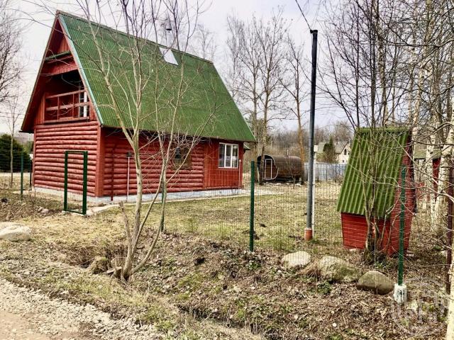Синявино массив, Липки снт.