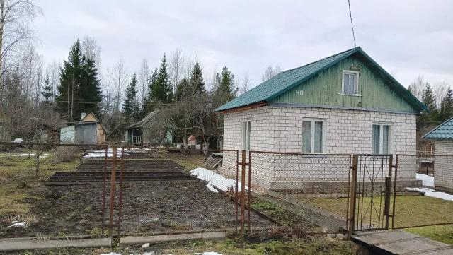 Ленинградская область, Мшинская массив, Дружба СНТ, 40