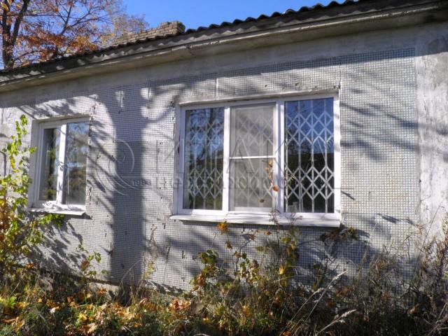 д. Пятилипы, 61
