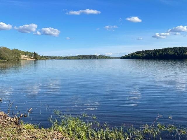 Ленинградская область, Полянский массив