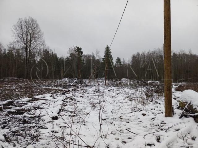 п. Ларионово