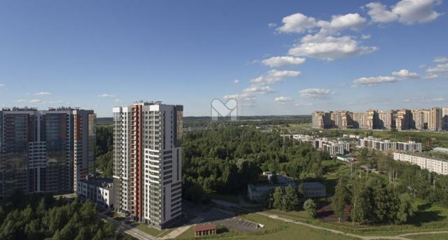 Парголово, Ольгинская дор.