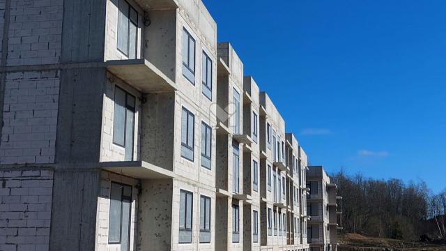 Ленинградская область, дер. Мистолово, Большой пр.