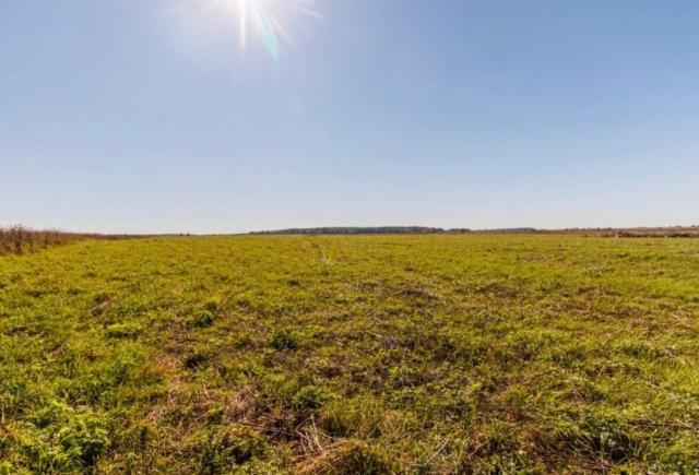 Ленинградская область, Копорье пос.