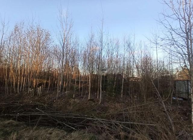 Ленинградская область, Колтушское городское поселение, 76