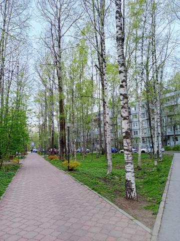 Ленинградская область, Новое Девяткино дер., Ветеранов ул., 2