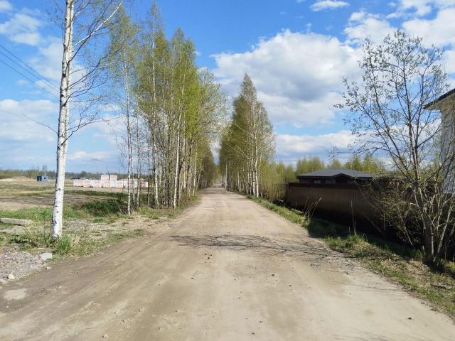 Ленинградская область, Капитолово массив
