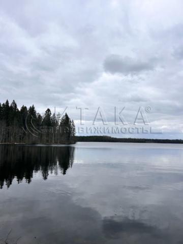 д. Заозерье
