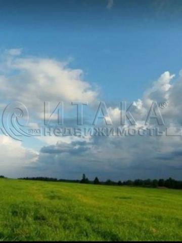 п. Запорожское