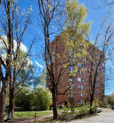 г. Луга, пр-кт. Кирова, 68к1