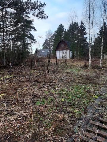 Ленинградская область, Уткино пос.