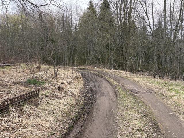снт. Новинка-1