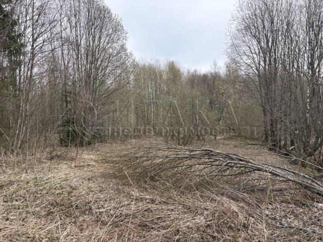 снт. Комбаково