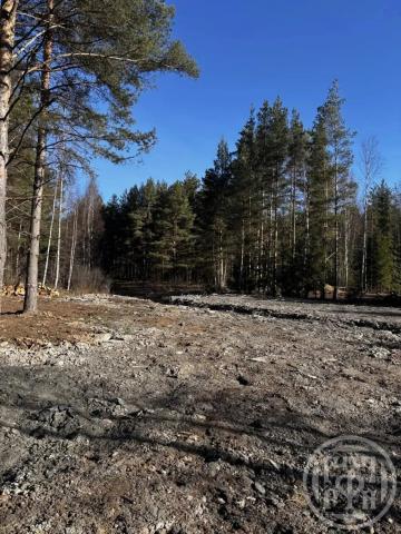 Коваши дер.