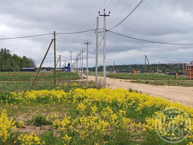 Жоржино дер.