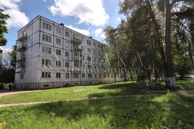 д. Ретюнь, ул. Центральная, 3