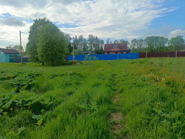 Ленинградская область, Парицы дер., Большая ул.