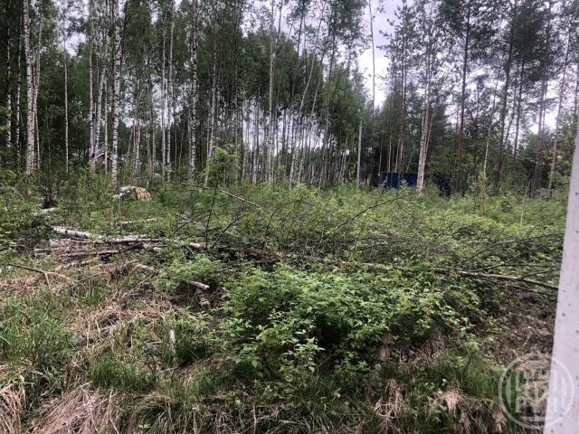 СОСН Раздолье тер., Райский пер