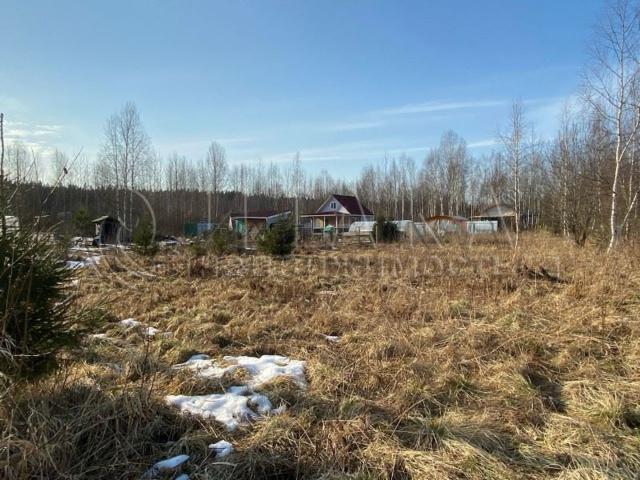 гп. Советский