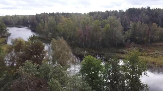 поселок Быково
