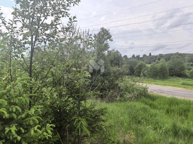 Серебрянский пос, Новая ул