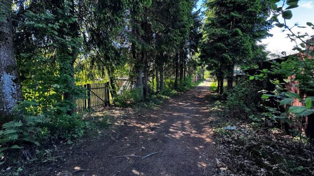Ленинградская область, Полиграфмаш СНТ