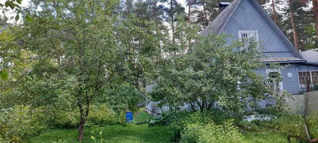Рощино городской поселок, Нижнее Рощино улица, Сосновая ул