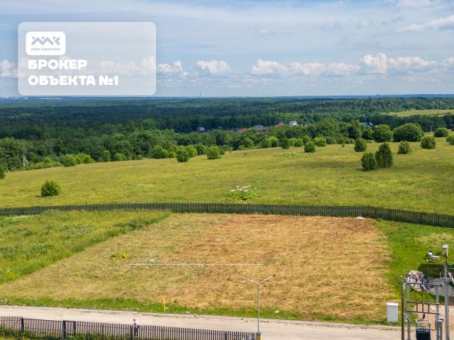 Вильповицы д.