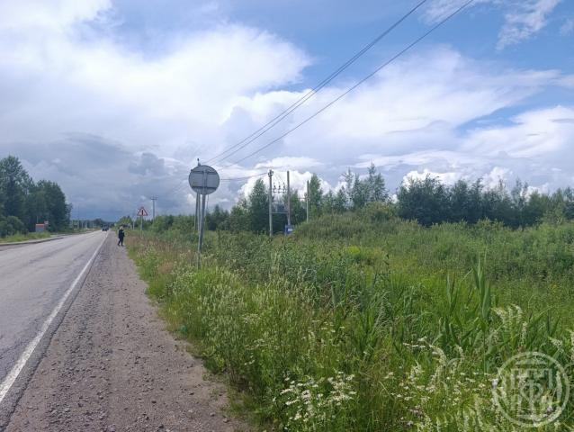 Колтушское городское поселение