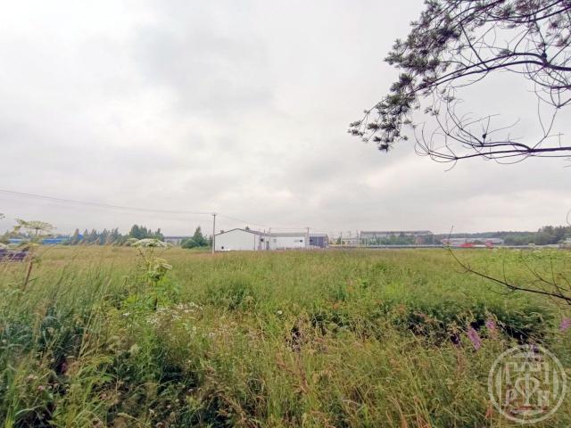 Разметелево дер.