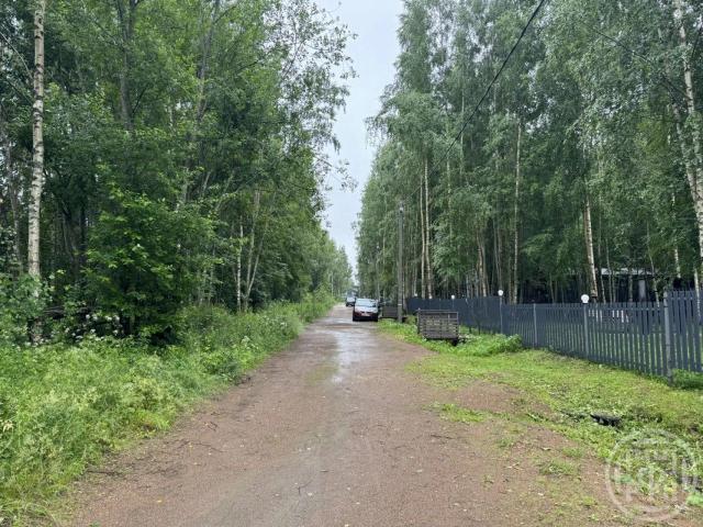 Таменгонт дер.