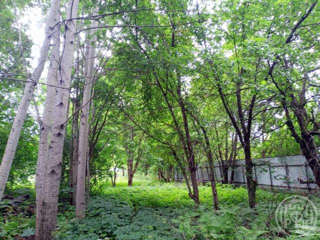 Рощино пос., Советский пер., д 4