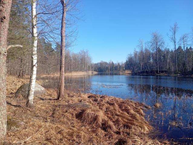 поселок Быково