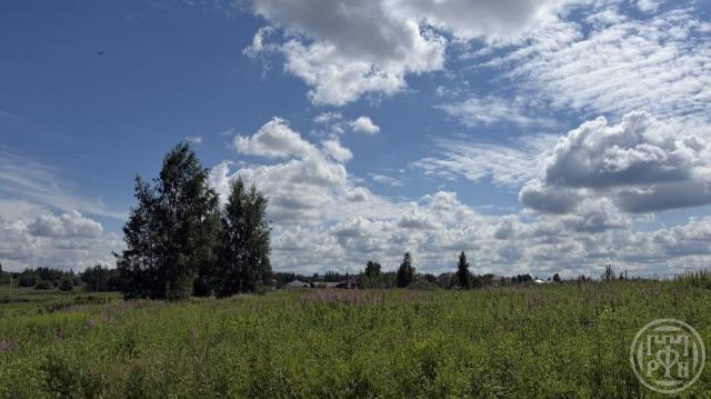 Низино дер.